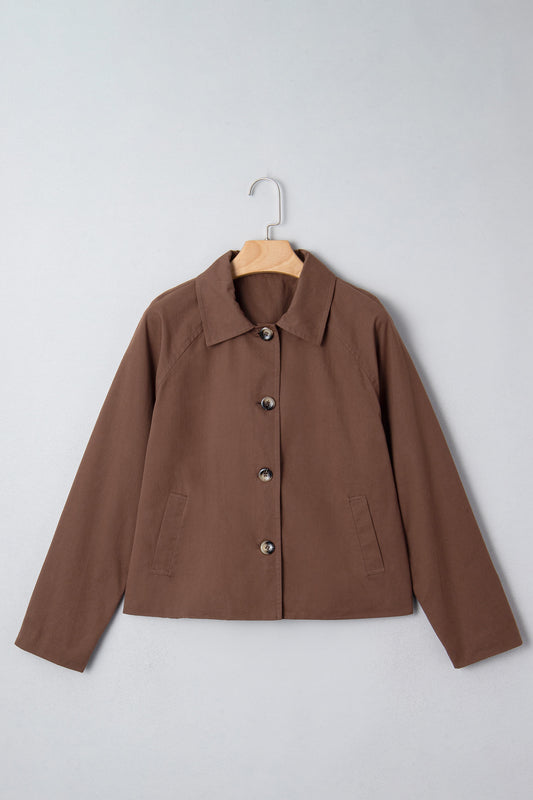 Dark Brown Collared Buttoned Leopard Liner Patchwork Chic Jacket