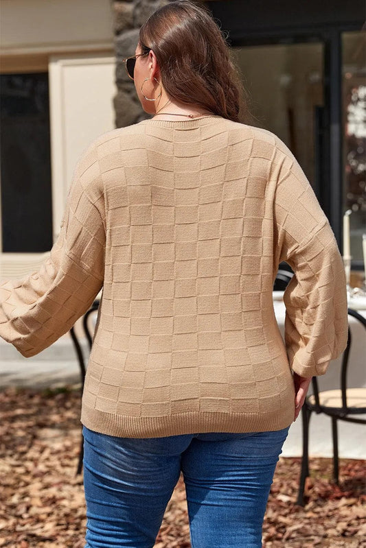 Plus Size/Plus Size Sweaters & Cardigans Light French Beige Solid Checkered Textured Knit Plus Size Sweater