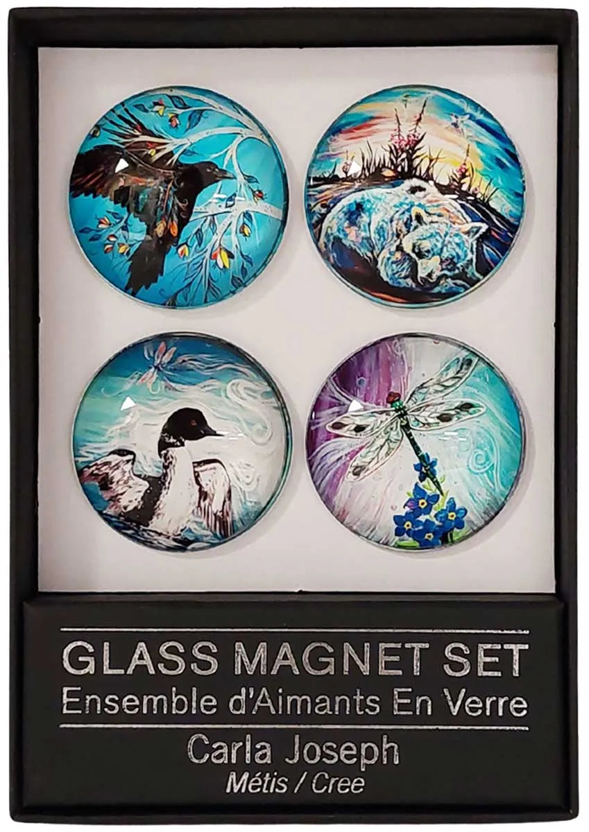 Glass Magnet Set by Carla Joseph - Chic Meadow Boutique