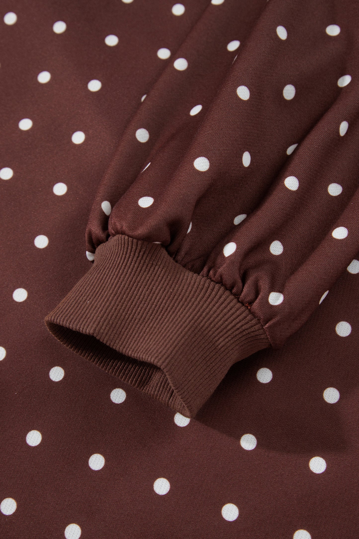 Brown Polka Dot Print Metal Button Collar Casual Pullover Sweatshirt