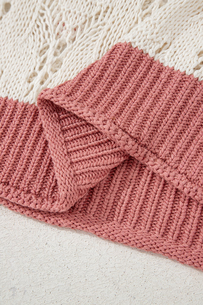 Delicacy Embroidered Flowers Colorblock Edge Hollowed Sweater