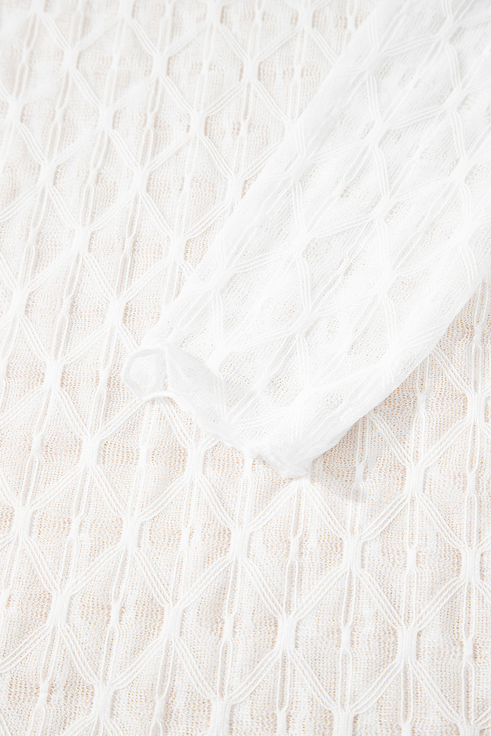 Beige Sheer Mesh Patterned Lettuce Trim Slim Long Sleeve Top