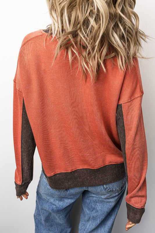 Flamingo Patchwork Colorblock Long Sleeve Vintage Regular Fit Sweatshirt