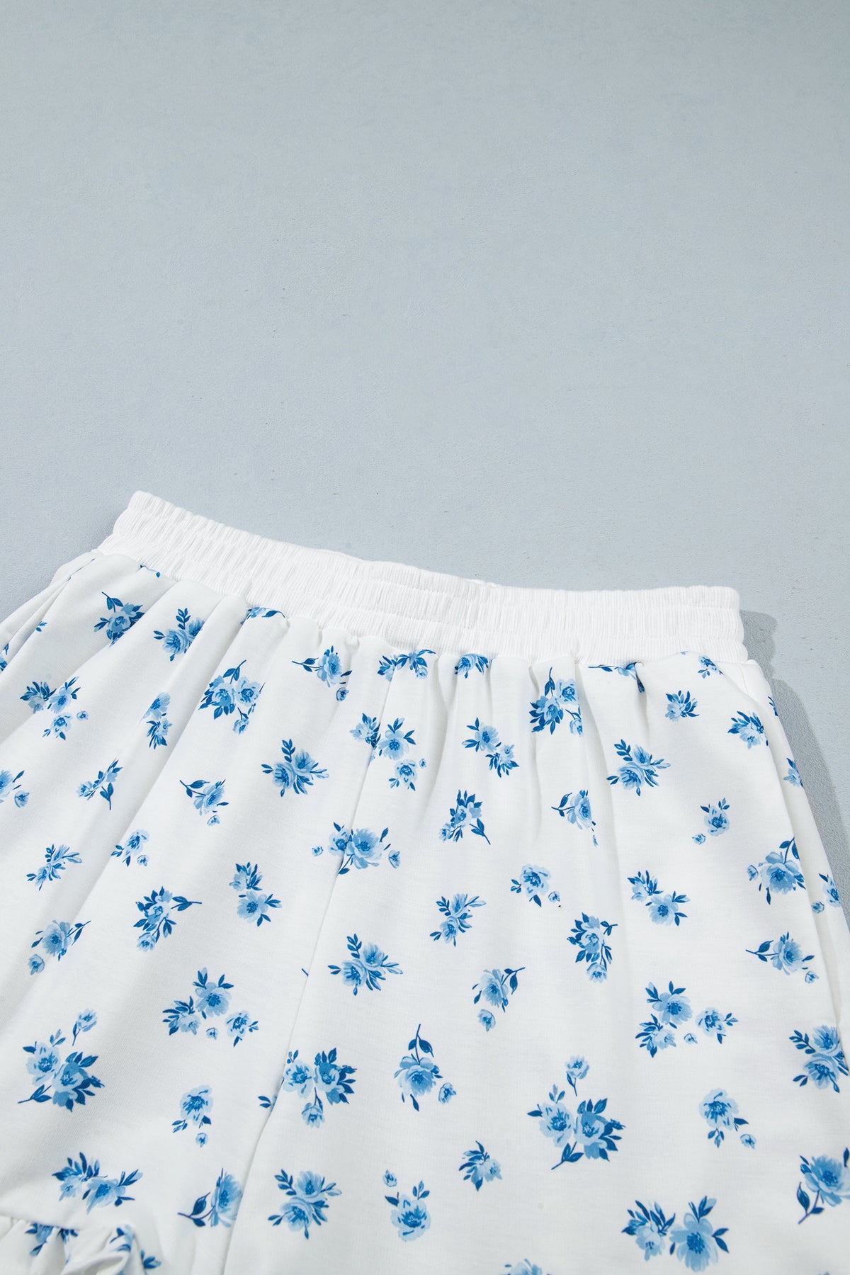 Sky Blue Floral Print Long Sleeve Top Elastic Waist Ruffle Hem Shorts 2pcs Set