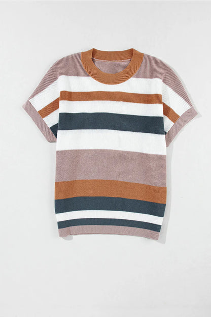 Camel Striped Knit Crew Neck T Shirt Sweater - Chic Meadow Boutique 