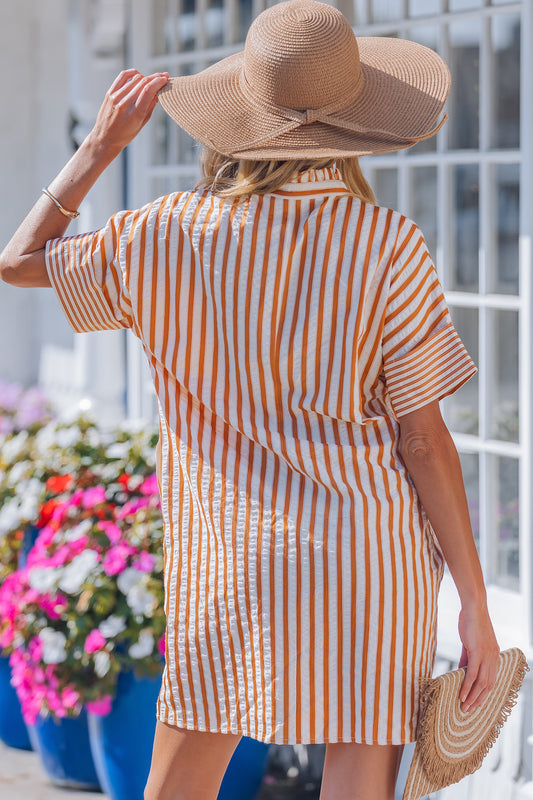 Brown Stripe Pinched V Neck Turn-up Cuffs Shift Mini Dress