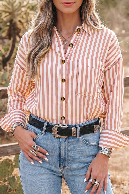 Brown Stripe Western Button Down Long Sleeve Casual Shirt
