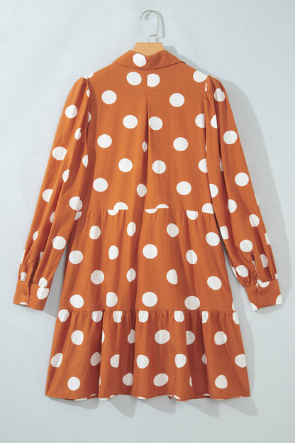 Brown Polka Dot Long Sleeve Tie Waist Casual Shift Mini Dress
