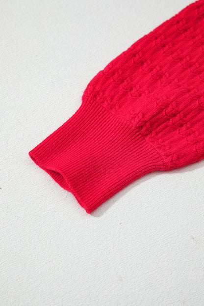 Fiery Red Trendy Pattern Knit Ribbed Cuffs Crew Neck Sweater