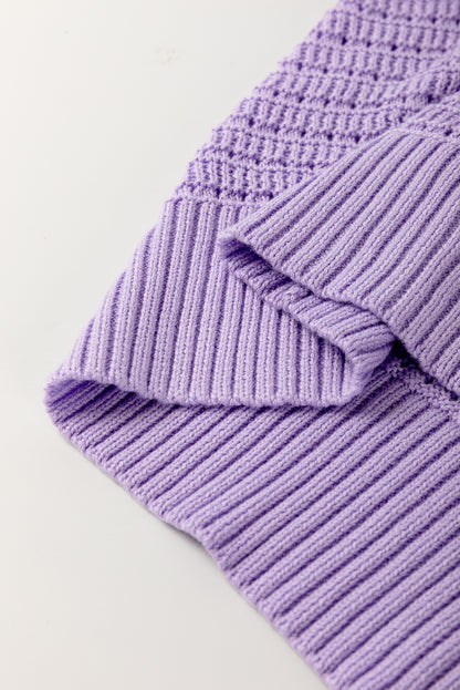 Lavendula Pointelle knit Ribbed Trim Short Sleeve Sweater