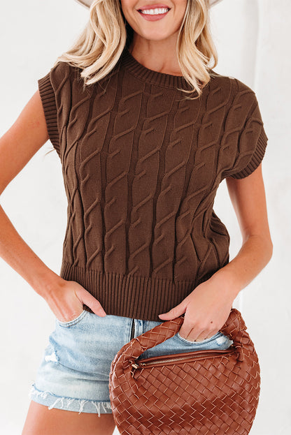 Dark Brown Cable Texture Crew Neck Short Sleeve Sweater Top