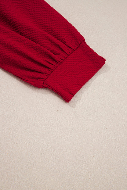 Fiery Red Collar V Neck Leopard Contrasted Trim Textured Blouse