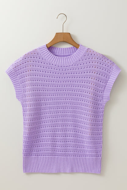 Lavendula Pointelle knit Ribbed Trim Short Sleeve Sweater