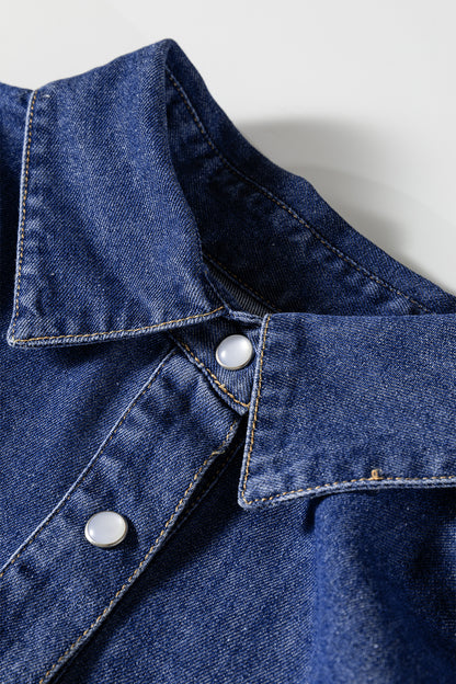 Ashleigh Blue Denim Shirt Collar Long Sleeve Flared Mini Dress