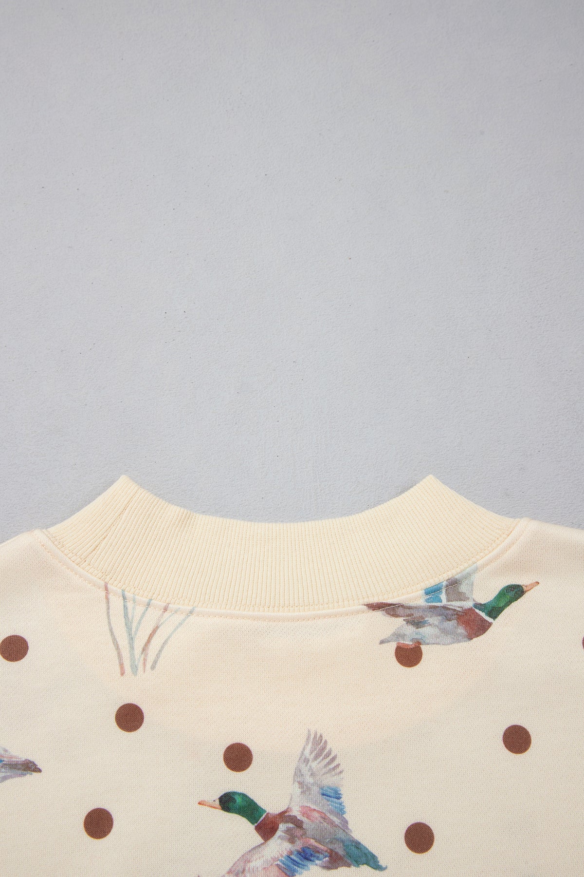 Beige Polka Dot Mallard Print Crewneck Pullover Two Piece Pants Set