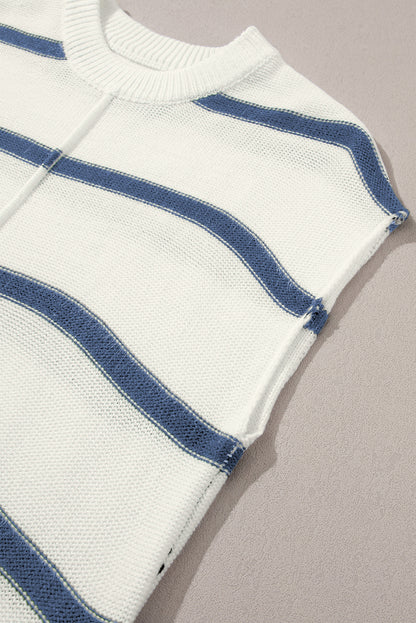 Blue Striped Batwing Sleeve Sweater Tee