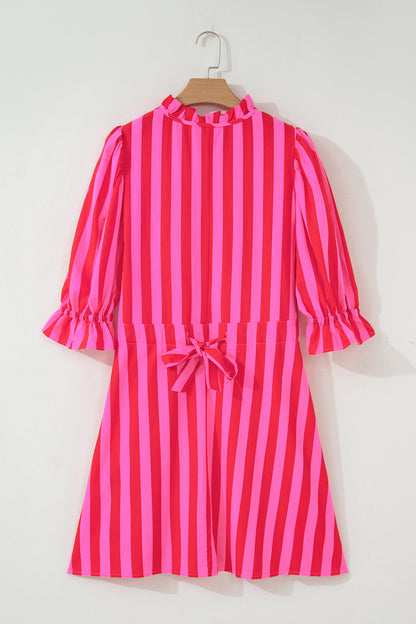 Rose Stripe Frilled Collar Button Neck Short Sleeve Curvy Mini Dress