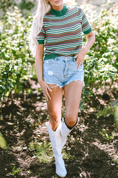 Dark Green Striped Pattern Contrast Trim Pointelle Knit T Shirt - Chic Meadow Boutique 