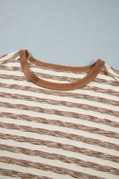 Brown Stripe Textured Knit Color Block Trim Long Sleeve Round Neck Top