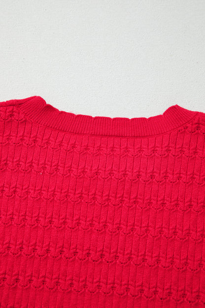 Fiery Red Trendy Pattern Knit Ribbed Cuffs Crew Neck Sweater