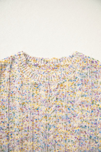 Multicolour Cozy Cable Knit Round Neck Long Sleeve Confetti Sweater