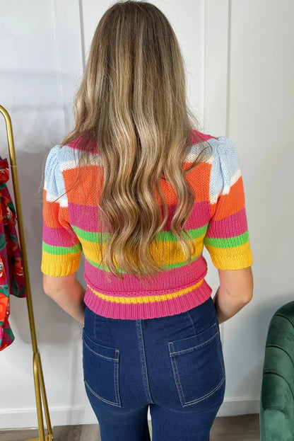 Multicolour Color Block Cropped Short Sleeve Sweater - Chic Meadow Boutique 