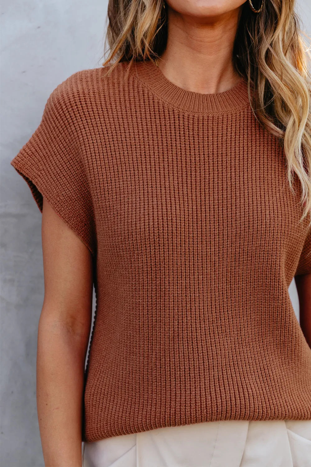 Chestnut Plain Crew Neck Short Sleeve Sweater - Chic Meadow Boutique 