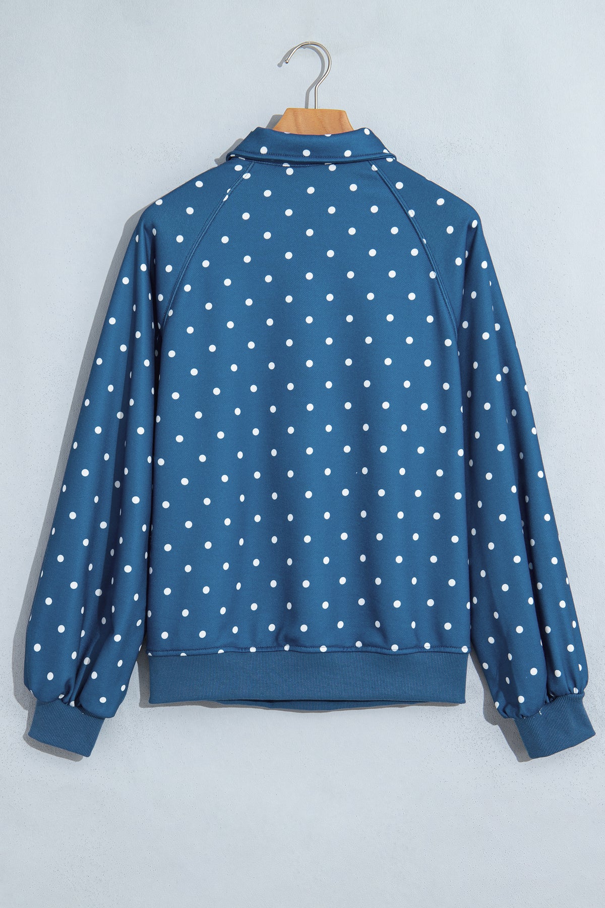 Blue Polka Dot Print Metal Button Collar Casual Pullover Sweatshirt