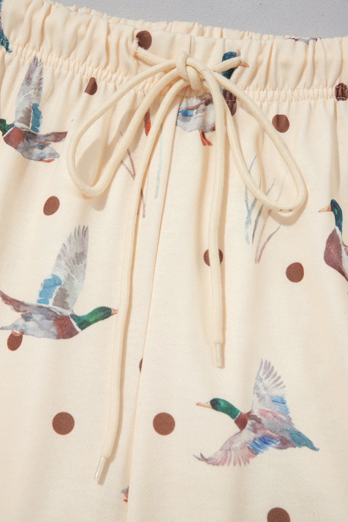 Beige Polka Dot Mallard Print Crewneck Pullover Two Piece Pants Set