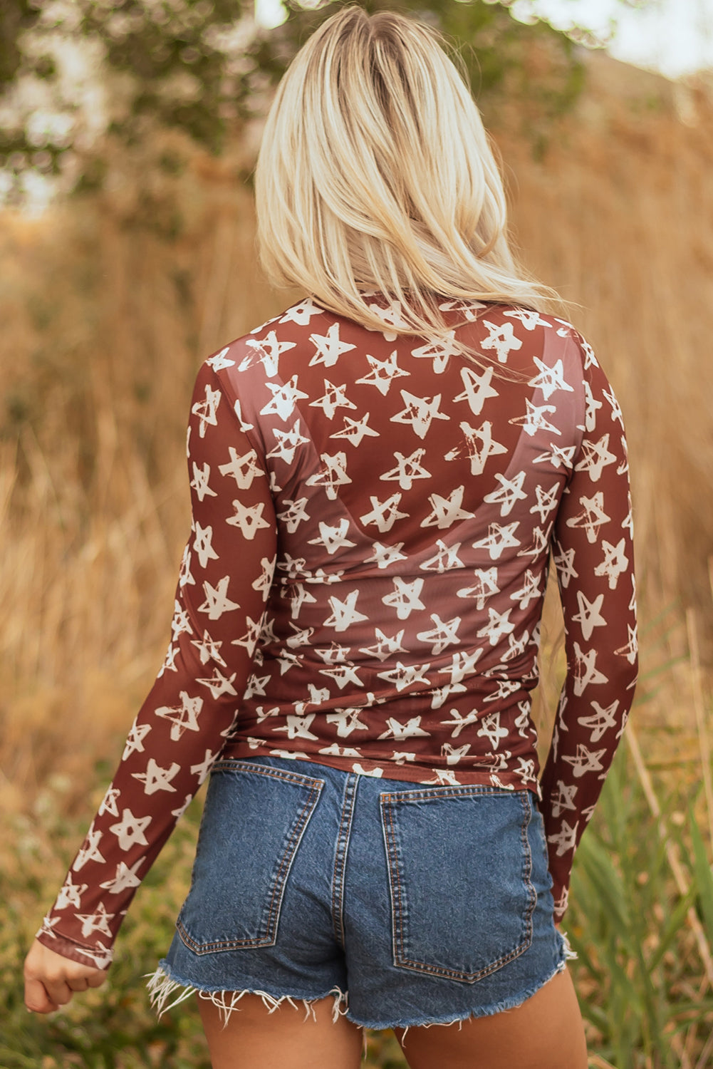 Red Mesh Star Print Mock Neck Sheath Long Sleeve Top