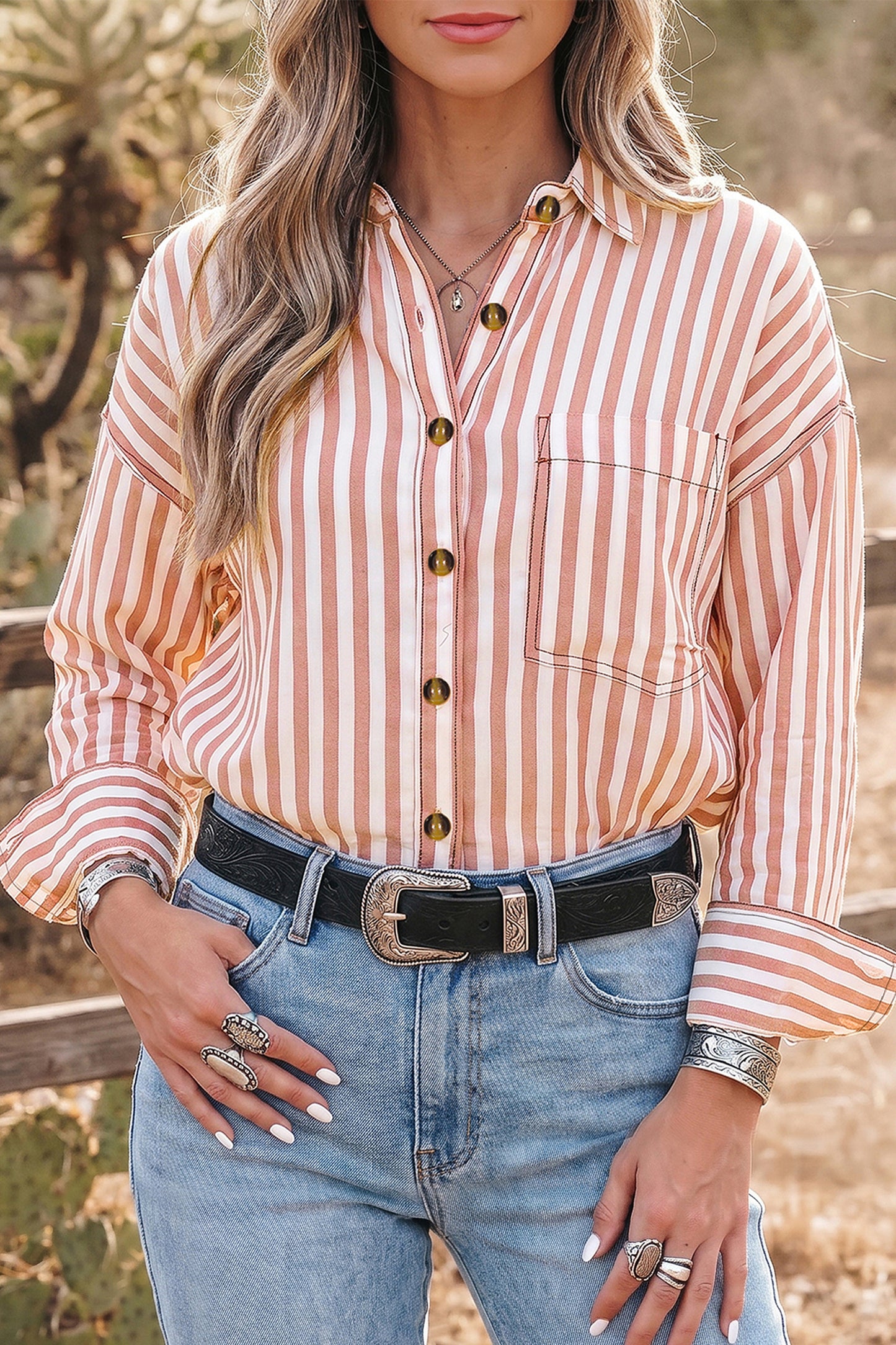 Brown Stripe Western Button Down Long Sleeve Casual Shirt