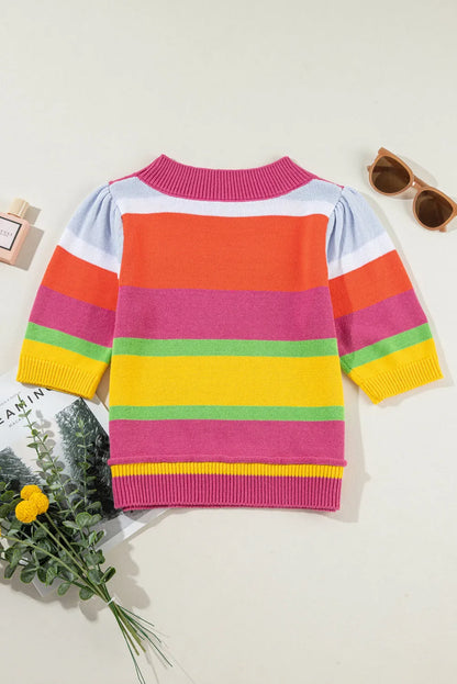 Multicolour Color Block Cropped Short Sleeve Sweater - Chic Meadow Boutique 