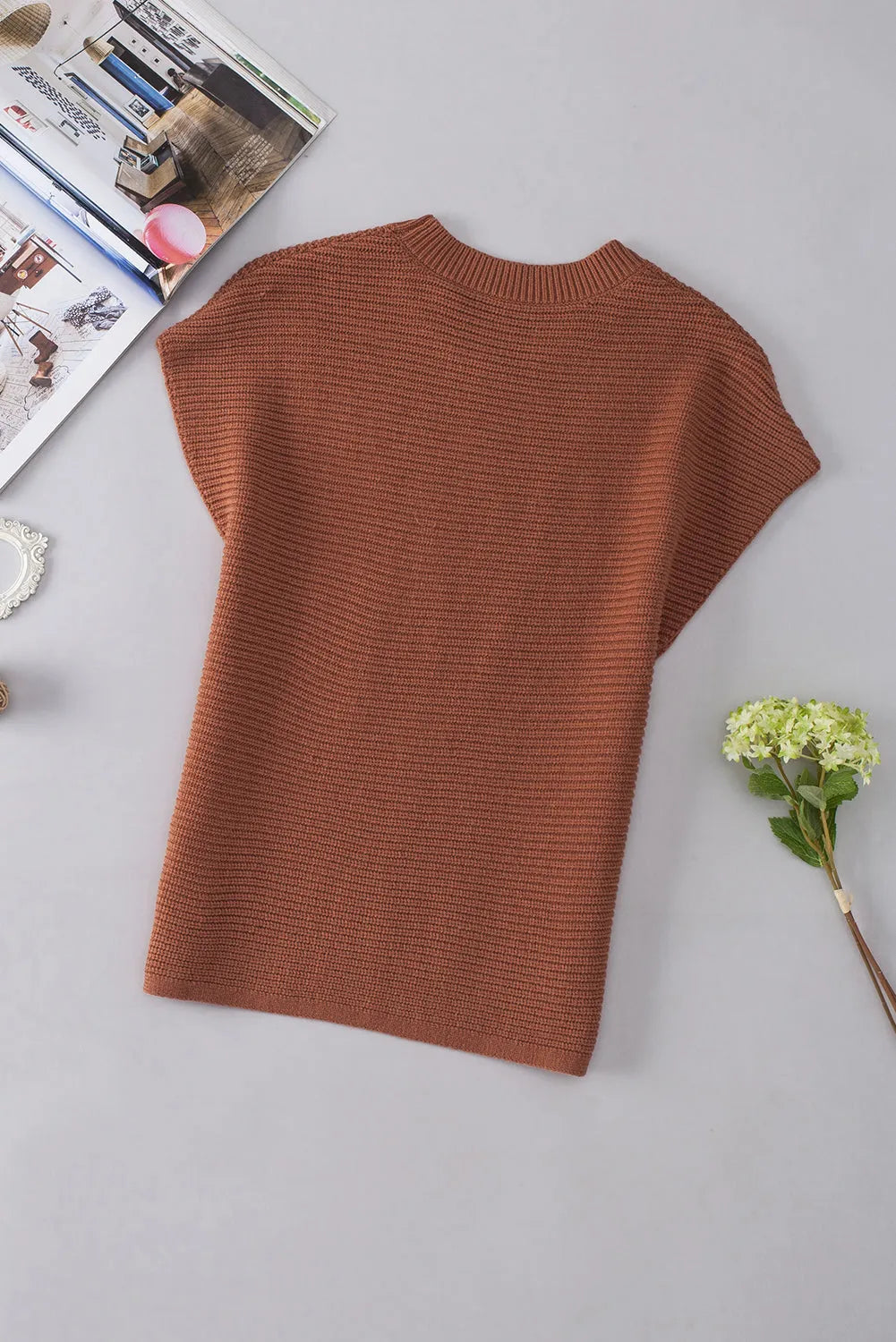 Chestnut Plain Crew Neck Short Sleeve Sweater - Chic Meadow Boutique 