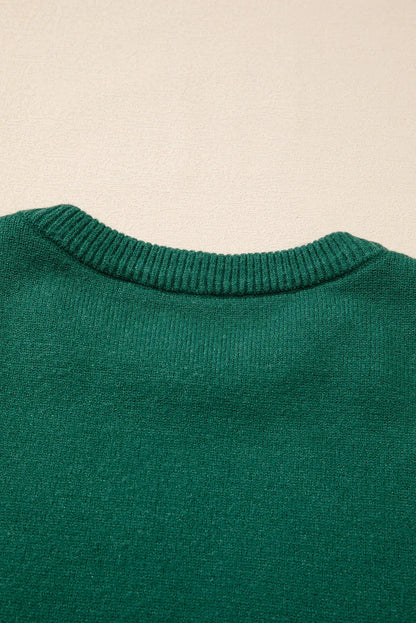 Evergreen Pearled Drop Shoulder Round Neck Sweater - Chic Meadow Boutique 