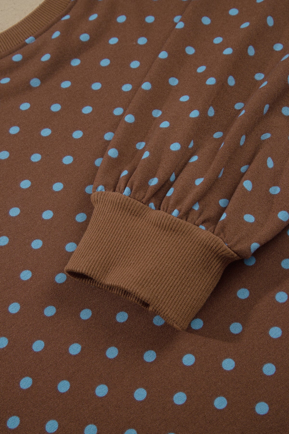 Brown Polka Dot Round Neck Long Sleeve Plus Size Set