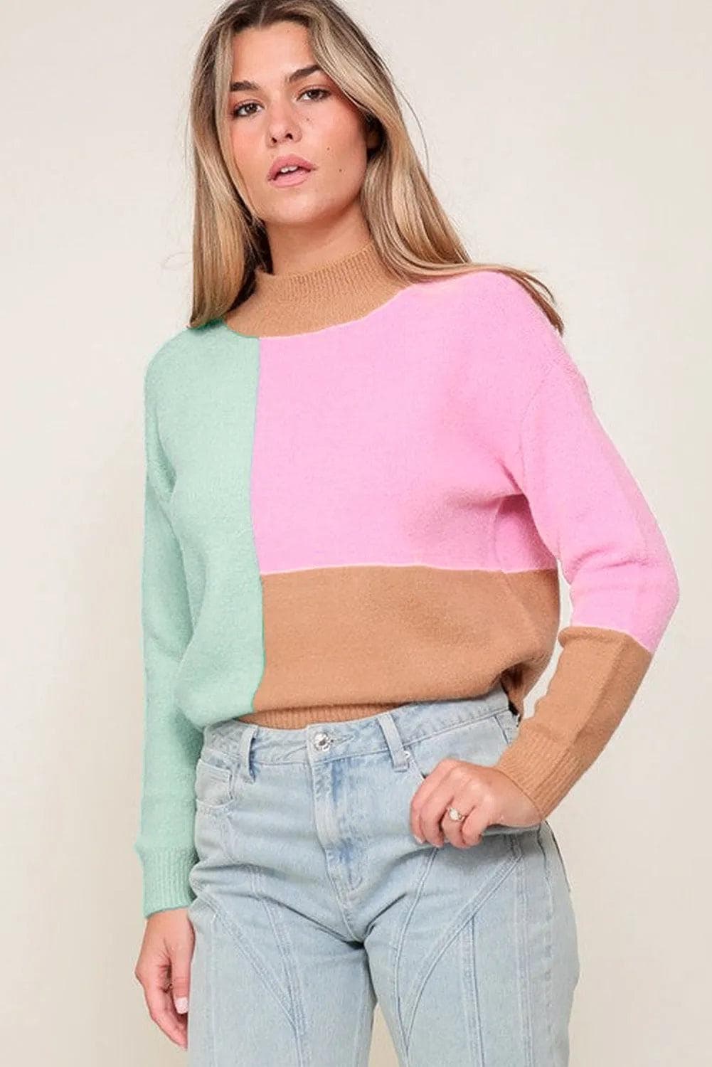 Tops/Sweaters & Cardigans Multicolour Colorblock Mock Neck Ribbed Trim Sweater