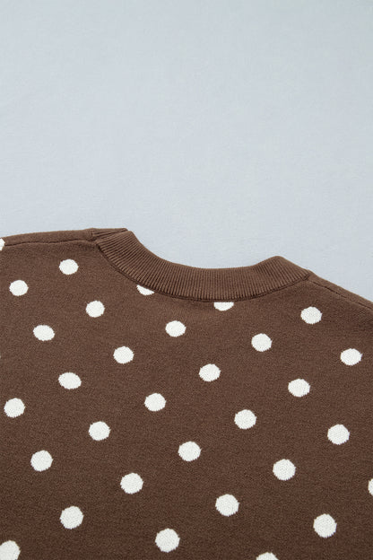 Brown Dolman Short Sleeve Round Neck Polka Dot Sweater