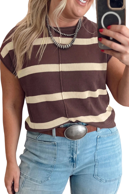 Brown Stripe Colorblock Knit Plus Size Sleeveless Casual Sweater