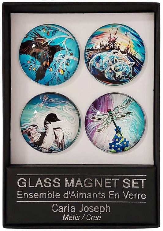 Glass Magnet Set by Carla Joseph - Chic Meadow Boutique 